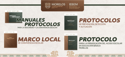 Manuales y Protocolos para la Seguridad y la Convivencia Escolar 2024